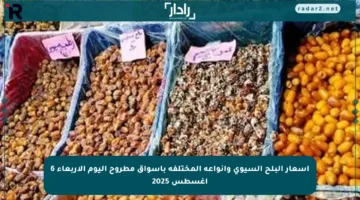 أسعار البلح السيوي وأنواعه المختلفة بأسواق مطروح اليوم الأربعاء 6 أغسطس 2025
